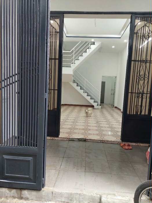 NHÀ XÂY MỚI 4 TẦNG – HXH – KHU KÊNH TÂN HOÁ HOÀ 38m² – GIÁ CHỈ 4 TỶ 99